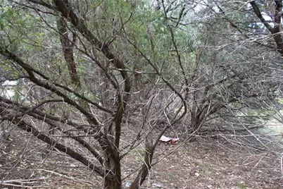 Lot 31 Panorama Drive, Dripping Springs, TX 78620 - Photo 6
