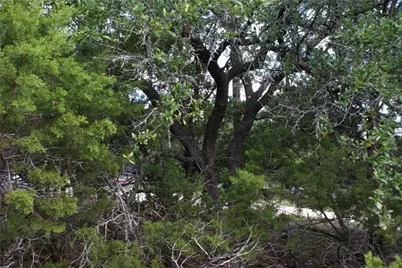 Lot 31 Panorama Drive, Dripping Springs, TX 78620 - Photo 8