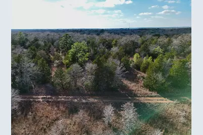 Lot 12 Antioch Road, Paige, TX 78659 - Photo 4