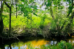 5107 Leralynn St, Austin, TX 78751 - Photo 14