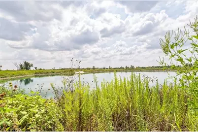 1011 Sandra Ann Way, Hutto, TX 78634 - Photo 24