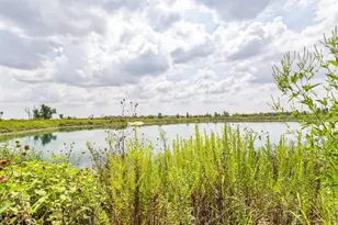 1011 Sandra Ann Wy, Hutto, TX 78634 - Photo 24
