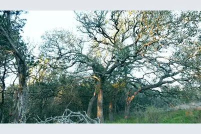 1141 Settlers Road, San Marcos, TX 78666 - Photo 12