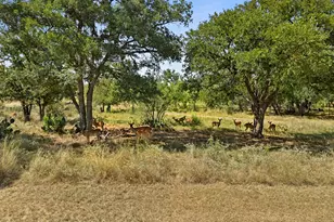 135 E Hickory Dr, Granite Shoals, TX 78654 - Photo 34