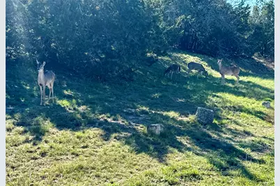 22122 Moulin Drive, Briarcliff, TX 78669 - Photo 6