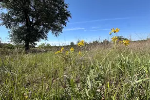 Lot 53 Marvin Ln, Bertram, TX 78605 - Photo 1