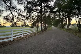 2520 Hwy 304, Smithville, TX 78957 - Photo 2