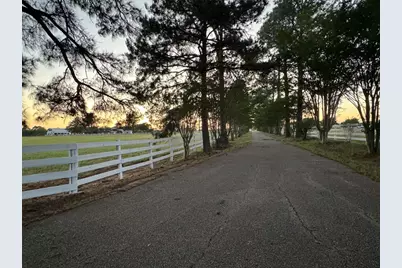 2520 Hwy 304, Smithville, TX 78957 - Photo 1