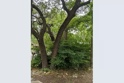 5904 Burlington Court, Austin, TX 78727 - Photo 4