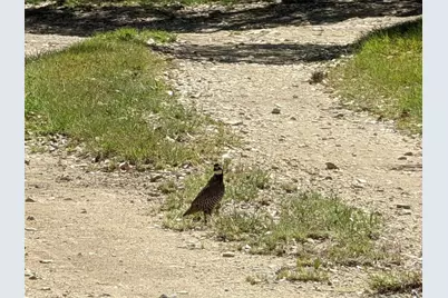 00 Angel Light Dr Drive, Spicewood, TX 78669 - Photo 10