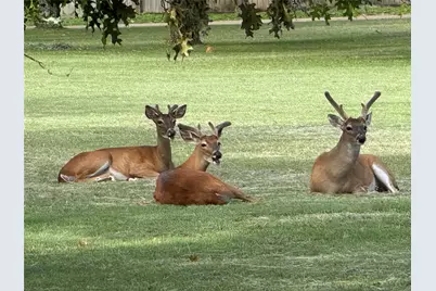 317 Home Place Lane, Salado, TX 76571 - Photo 16