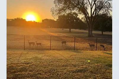 317 Home Place Lane, Salado, TX 76571 - Photo 4