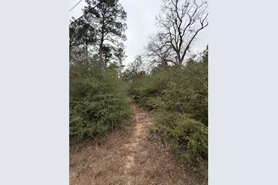 0000 Makaha Drive, Bastrop, TX 78602 - Photo 6