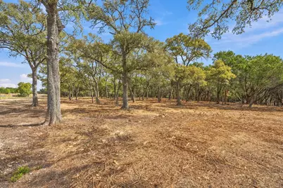 Tbd Fm 150, Driftwood, TX 78619 - Photo 6