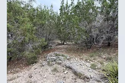 22307 Shotts Drive, Spicewood, TX 78669 - Photo 6