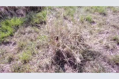 216 N Calvin Barrett Drive, Blanco, TX 78606 - Photo 18