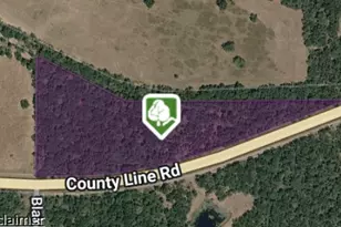Osr Osr Hwy, Madisonville, TX 77871 - Photo 1