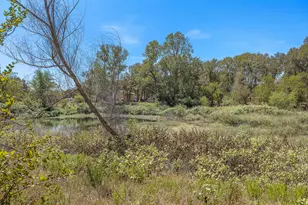 349 Forest Lake Dr, Del Valle, TX 78617 - Photo 4