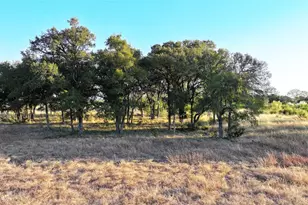 Lot 4 Cr 220, Briggs, TX 78608 - Photo 8