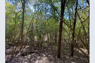 Tbd Lot 1233 Hanauma Drive, Bastrop, TX 78602 - Photo 12