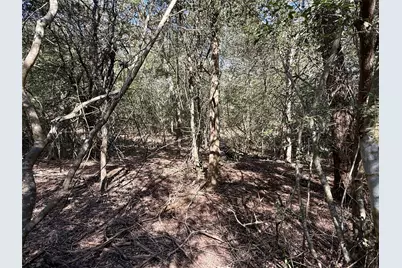 Tbd Lot 1233 Hanauma Drive, Bastrop, TX 78602 - Photo 10