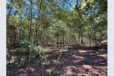 Tbd Lot 1233 Hanauma Drive, Bastrop, TX 78602 - Photo 16