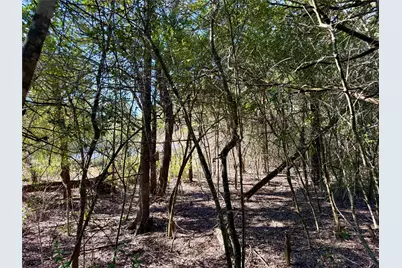 Tbd Lot 1233 Hanauma Drive, Bastrop, TX 78602 - Photo 6