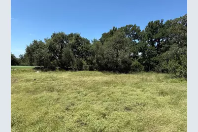 113 N John Bird Street, Blanco, TX 78606 - Photo 14