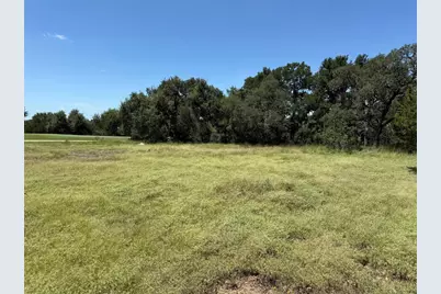 113 N John Bird Street, Blanco, TX 78606 - Photo 10