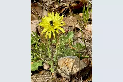 Tbd Hudson Road, Smithville, TX 78957 - Photo 4