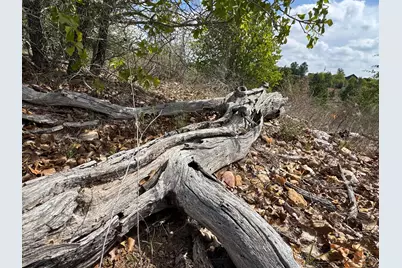 Tbd Hudson Road, Smithville, TX 78957 - Photo 8