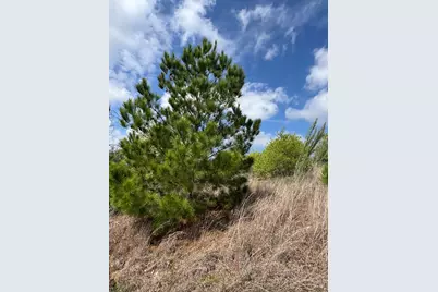 Tbd Hudson Road, Smithville, TX 78957 - Photo 6