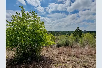 Tbd Hudson Road, Smithville, TX 78957 - Photo 1