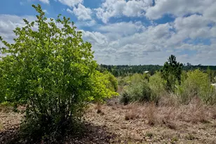 Tbd Hudson Rd, Smithville, TX 78957 - Photo 1