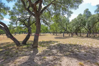 1301 Sandy Point Road, Wimberley, TX 78676 - Photo 4