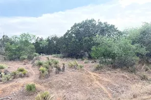 Lot 283 & 284 Briarway Dr, Granite Shoals, TX 78654 - Photo 6