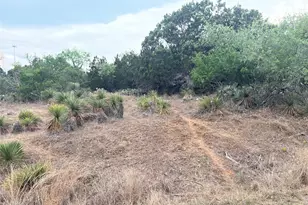 Lot 283 & 284 Briarway Dr, Granite Shoals, TX 78654 - Photo 4