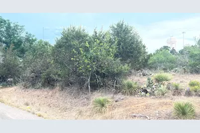 Lot 283 & 284 Briarway Drive, Granite Shoals, TX 78654 - Photo 2