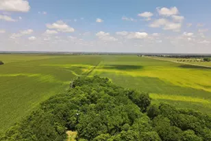 13732 Chandler Rd, Taylor, TX 76574 - Photo 1