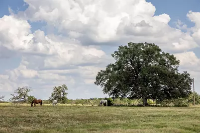 Tbd County Road 315, Lexington, TX 78947 - Photo 4