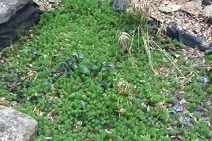 1850 N Rainbow Ranch Road N, Wimberley, TX 78676 - Photo 16