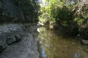 1850 N Rainbow Ranch Road N, Wimberley, TX 78676 - Photo 14