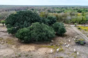 387 Black Watch Ln, Lockhart, TX 78644 - Photo 1