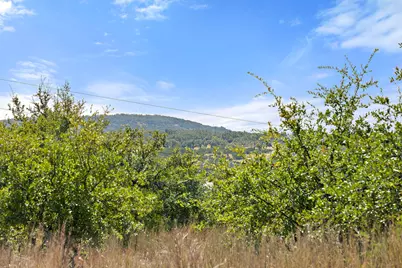 Tract 2 Of 5818 Ranch Road 165, Blanco, TX 78606 - Photo 18