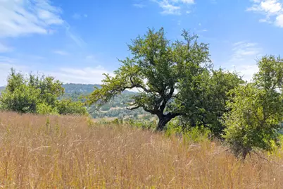 Tract 2 Of 5818 Ranch Road 165, Blanco, TX 78606 - Photo 2