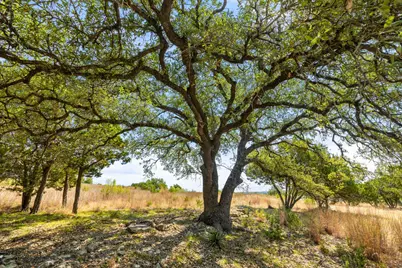 Tract 2 Of 5818 Ranch Road 165, Blanco, TX 78606 - Photo 26