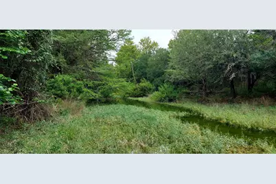 00000 Brinkley Drive, Wimberley, TX 78676 - Photo 4