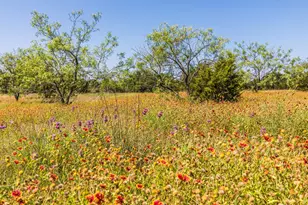 Tbd County Road 3300, Kempner, TX 76539 - Photo 1