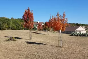 1617 High Lonesome, Leander, TX 78641 - Photo 40