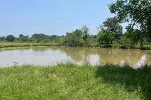 1010 Co Rd 490, Elgin, TX 78621 - Photo 12